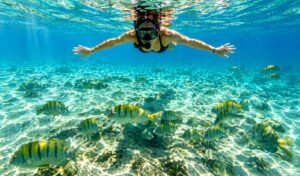 Turistas aproveitando banho e mergulho nas águas cristalinas da Lagoa Azul em Angra dos Reis - Guia Rio Tur