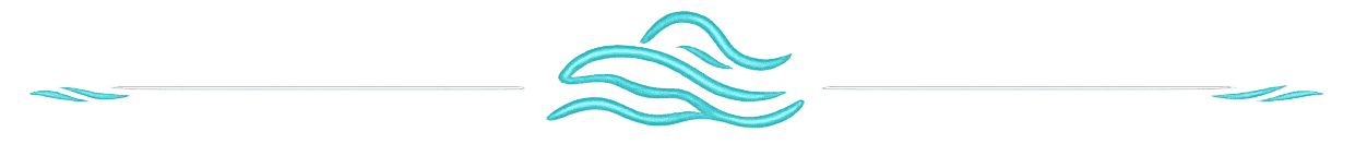 Divisor decorativo com ondas em azul-turquesa utilizado no hero da Guia Rio Tur.
