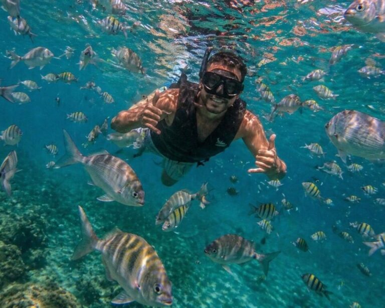 Turista praticando mergulho com snorkel entre peixes tropicais durante o passeio para Angra dos Reis saindo do Rio de Janeiro na Lagoa Azul.